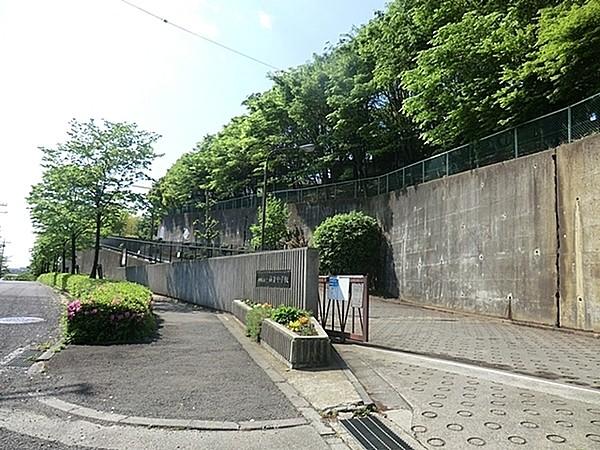 【周辺】川崎市立南菅中学校まで1330m