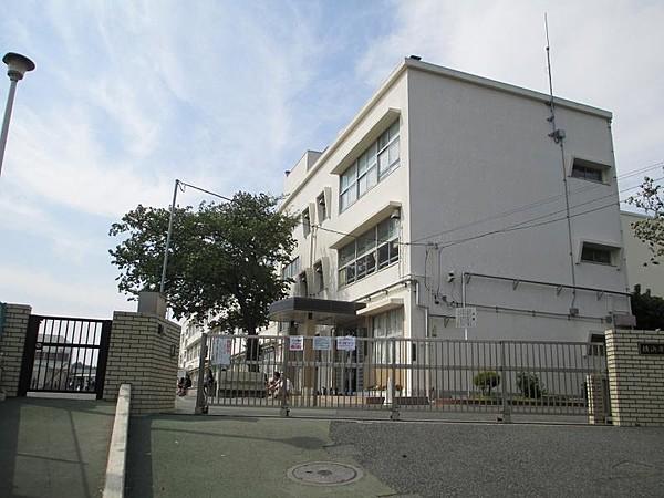 【周辺】横浜市立今宿小学校　444ｍ