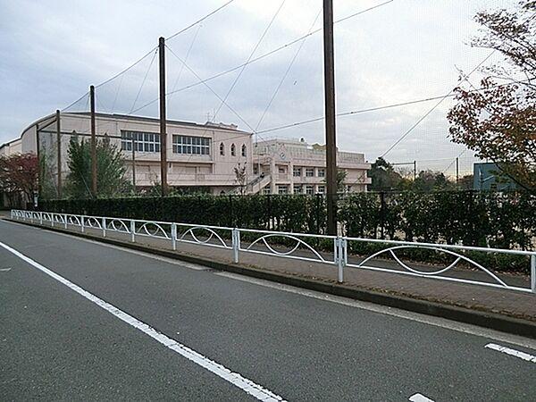 【周辺】横浜市立中川西小学校まで531m