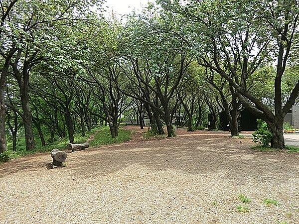 【周辺】菊名桜山公園まで469m、「菊名駅」から歩いて10分ほど、綺麗なトイレと休憩スペース完備でおでかけしやすいスポット。