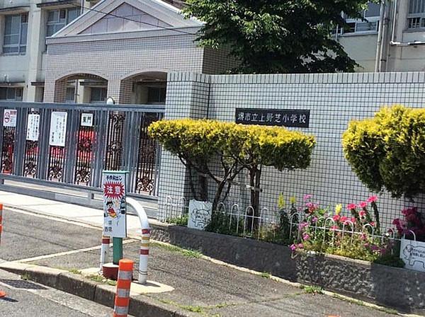 【周辺】堺市立上野芝小学校　徒歩10分まで868m
