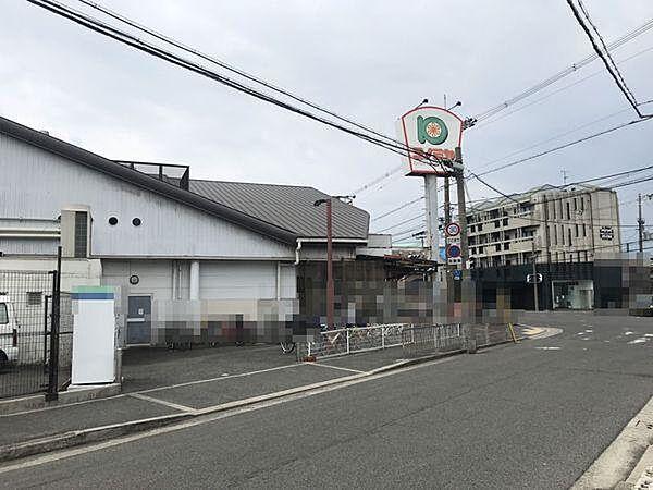 【周辺】コノミヤ浜寺石津店まで1012m