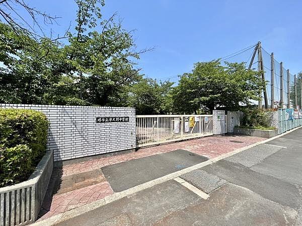 【周辺】堺市立津久野中学校まで705m