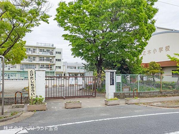 【周辺】八潮市立松之木小学校まで620m