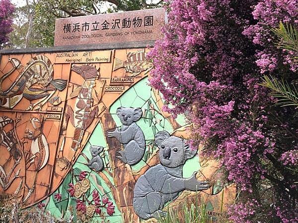 【周辺】金沢自然公園　270m　動物園エリアと植物園エリアに分かれ、動物や昆虫、草花を観察できます。 