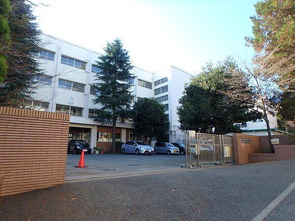 【周辺】横浜市立青葉台中学校　950m　 