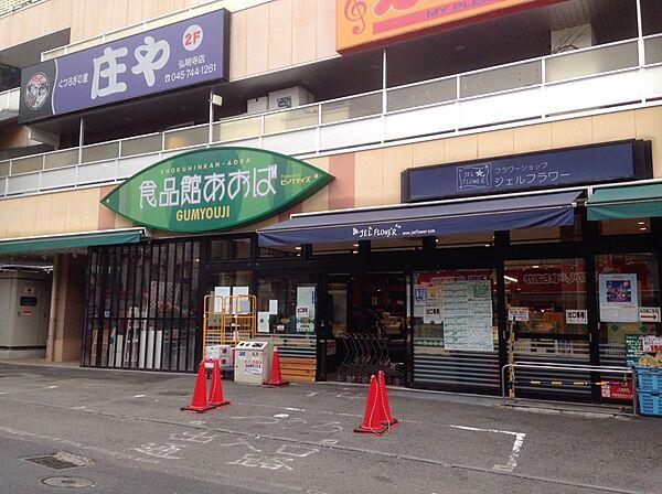 【周辺】食品館あおば 弘明寺店　550m　京急線弘明寺駅徒歩1分。お出かけやお仕事帰りに寄りやすい立地です。新鮮な野菜や鮮魚が揃っています。 