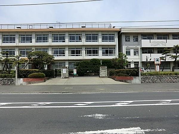 【周辺】平塚市立浜岳中学校　850m　 