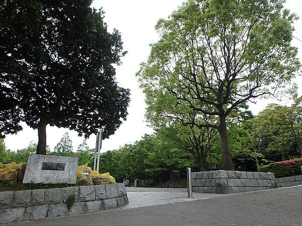 【周辺】富岡公園　300m　住宅街の中の緑に囲まれた公園。お子様が走り回れる広場や遊具、木陰で休めるベンチがございます。 