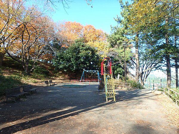 【周辺】榎が丘公園　270m　榎が丘小学校隣接。丘の上の公園です。お子様が楽しめる遊具の他、健康遊具もあります。 