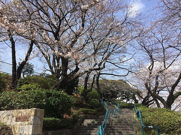 【周辺】掃部山公園　210m　遊具が設置された広場や、池を配した和風庭園、横浜能楽堂が建てられています。春にはお花見を楽しめます。 