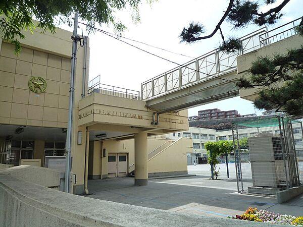 【周辺】横浜市立星川小学校　900m　 