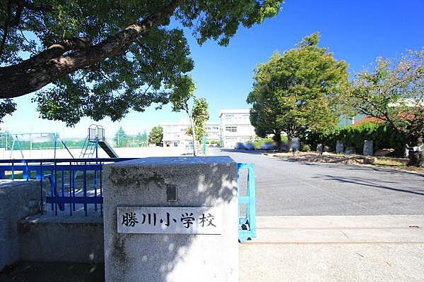 【周辺】勝川小学校まで850m、勝川小学校まで850m(徒歩約11分)