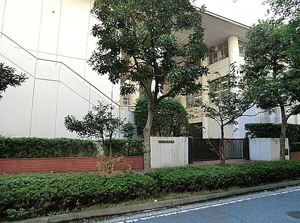 【周辺】横浜市立港中学校まで240m