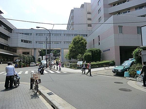 【周辺】国家公務員共済組合連合会横須賀共済病院まで236m