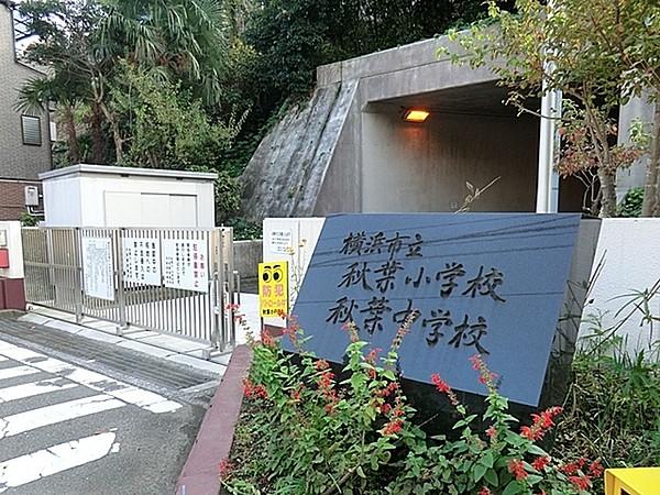【周辺】横浜市立秋葉中学校まで940m