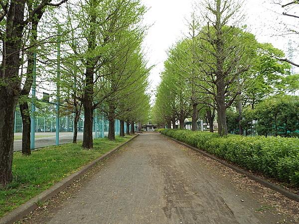 【周辺】武蔵野公園まで500m、徒歩で約6分です。