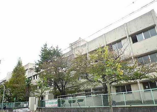 【周辺】西宮市立鳴尾中学校まで300m、徒歩4分