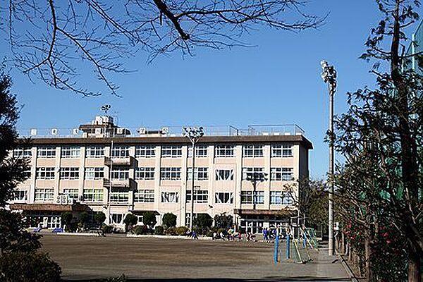 【周辺】八王子市立浅川小学校まで600m
