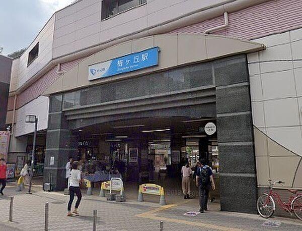 【周辺】梅ヶ丘駅(小田急 小田原線)まで751m