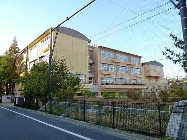 【周辺】世田谷区立東深沢中学校まで560m