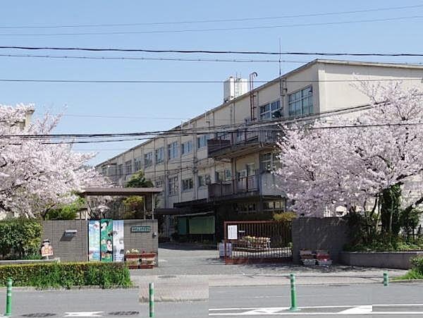 【周辺】京都市立高野中学校まで342m