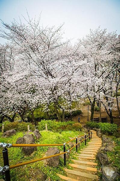 【周辺】戸山公園まで100m、物件から徒歩2分ほどで広大な戸山公園に到着。緑豊かな環境でリフレッシュ可能。