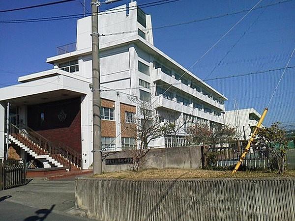 【周辺】鎌倉市立腰越中学校まで949m