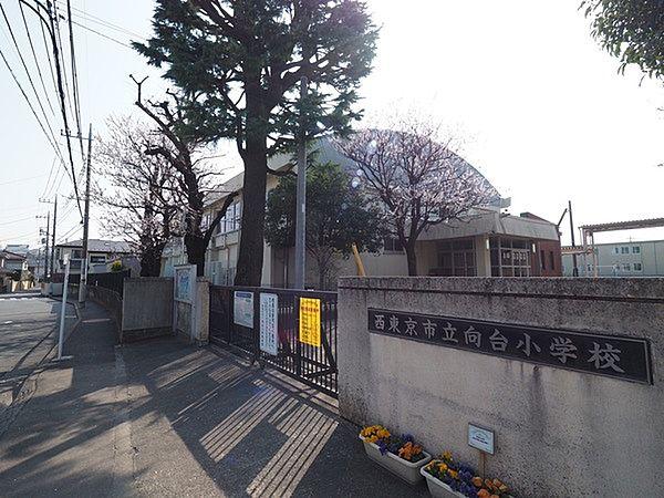 【周辺】西東京市立向台小学校まで520m
