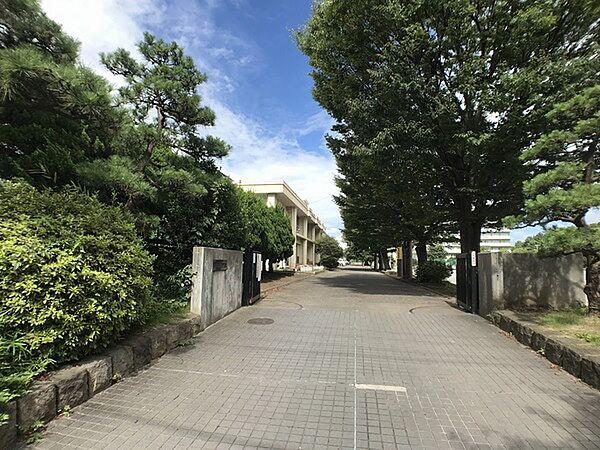 【周辺】平塚市立江陽中学校まで865m