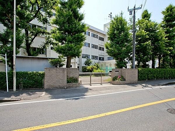 【周辺】藤沢市立御所見中学校まで1028m