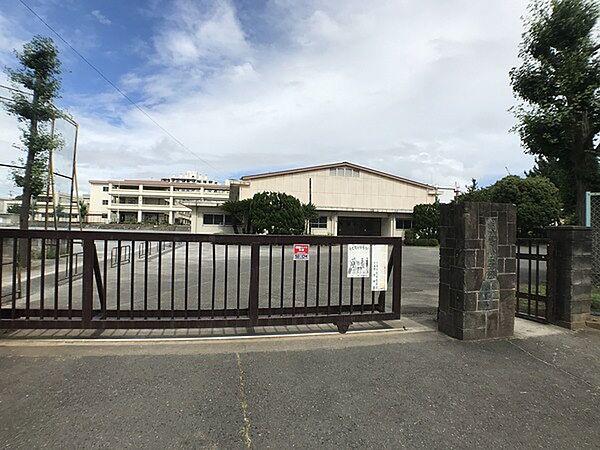 【周辺】平塚市立崇善小学校まで510m