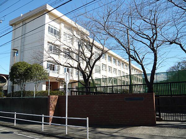 【周辺】藤沢市立新林小学校まで1242m