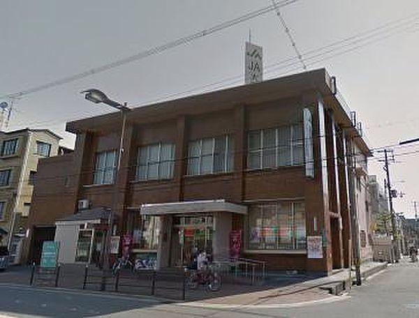 【周辺】JA大阪市加美支店まで69m