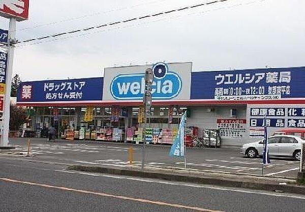 【周辺】ウエルシア平野加美東店まで235m