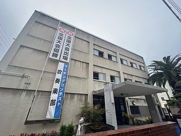 【周辺】堀江中学校まで571m