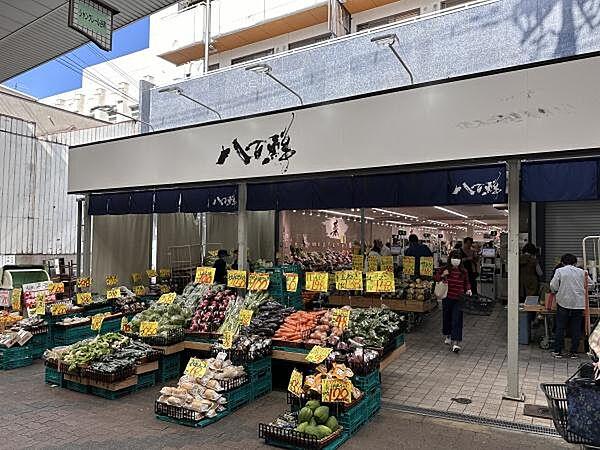 【周辺】生鮮食材専門店　八百鮮　空堀店まで468m