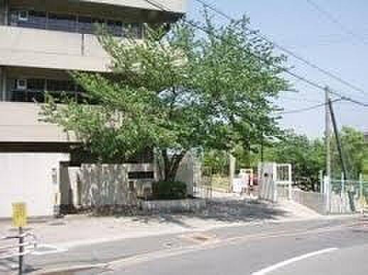 【周辺】吹田市立東山田小学校まで593m