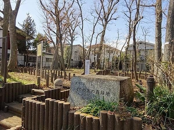 【周辺】石神井台くすのき緑地まで799m