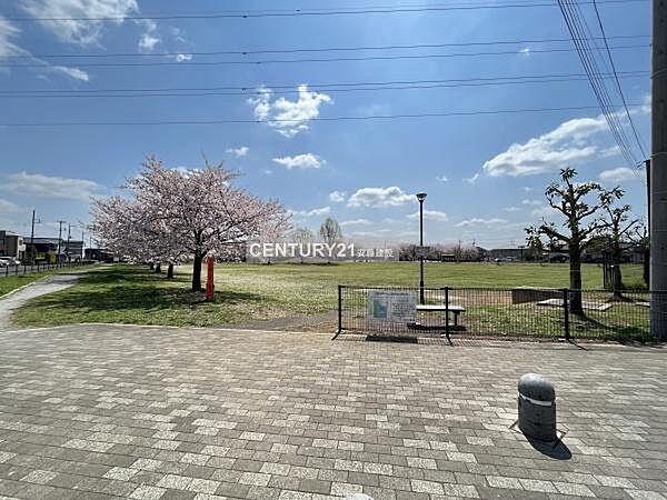 【周辺】藤沢中央公園まで625m