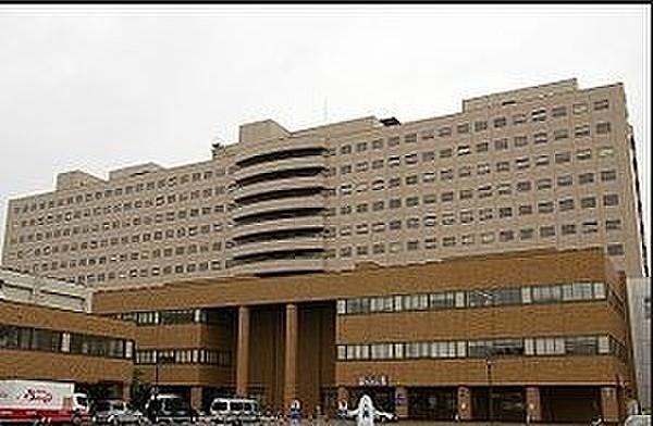 【周辺】国立大学法人北海道大学病院まで1142m