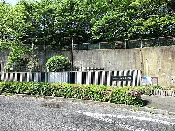 【周辺】川崎市立南菅中学校まで604m