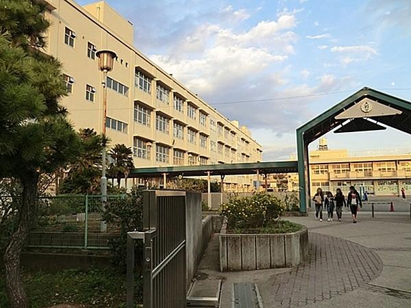 【周辺】横浜市立芹が谷小学校まで872m