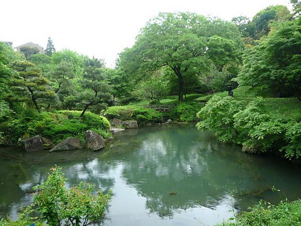 【周辺】帷子川親水緑道まで546m、鶴ヶ峰駅から歩いて数分の場所にありながら、あふれる緑と水のせせらぎを楽しめるスポットです。