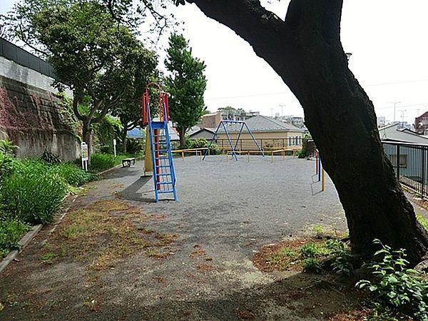 【周辺】松本公園まで519m