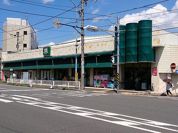 【周辺】FUJI伊勢町店まで537m、紅葉坂近くにあるスーパー。夜22時まで営業しています。
