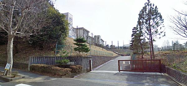 【周辺】八王子市立松が谷中学校まで1414m