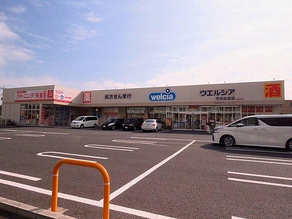 【周辺】ウエルシア守谷松並店まで1224m