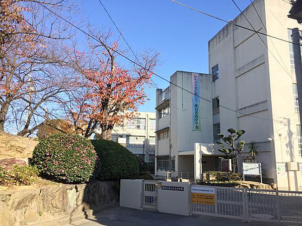 【周辺】堺市立東百舌鳥中学校まで923m