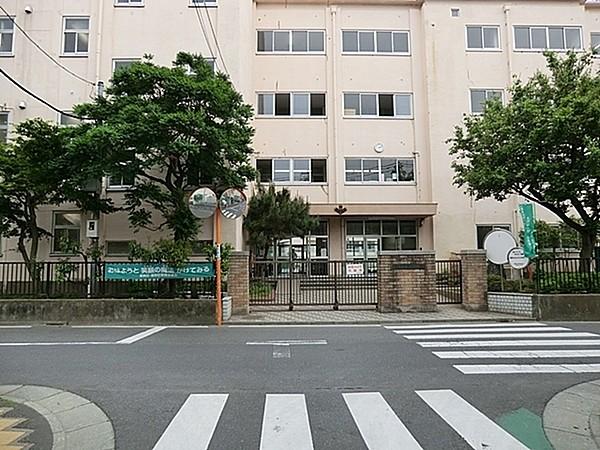 【周辺】葛飾区立常盤中学校まで99m
